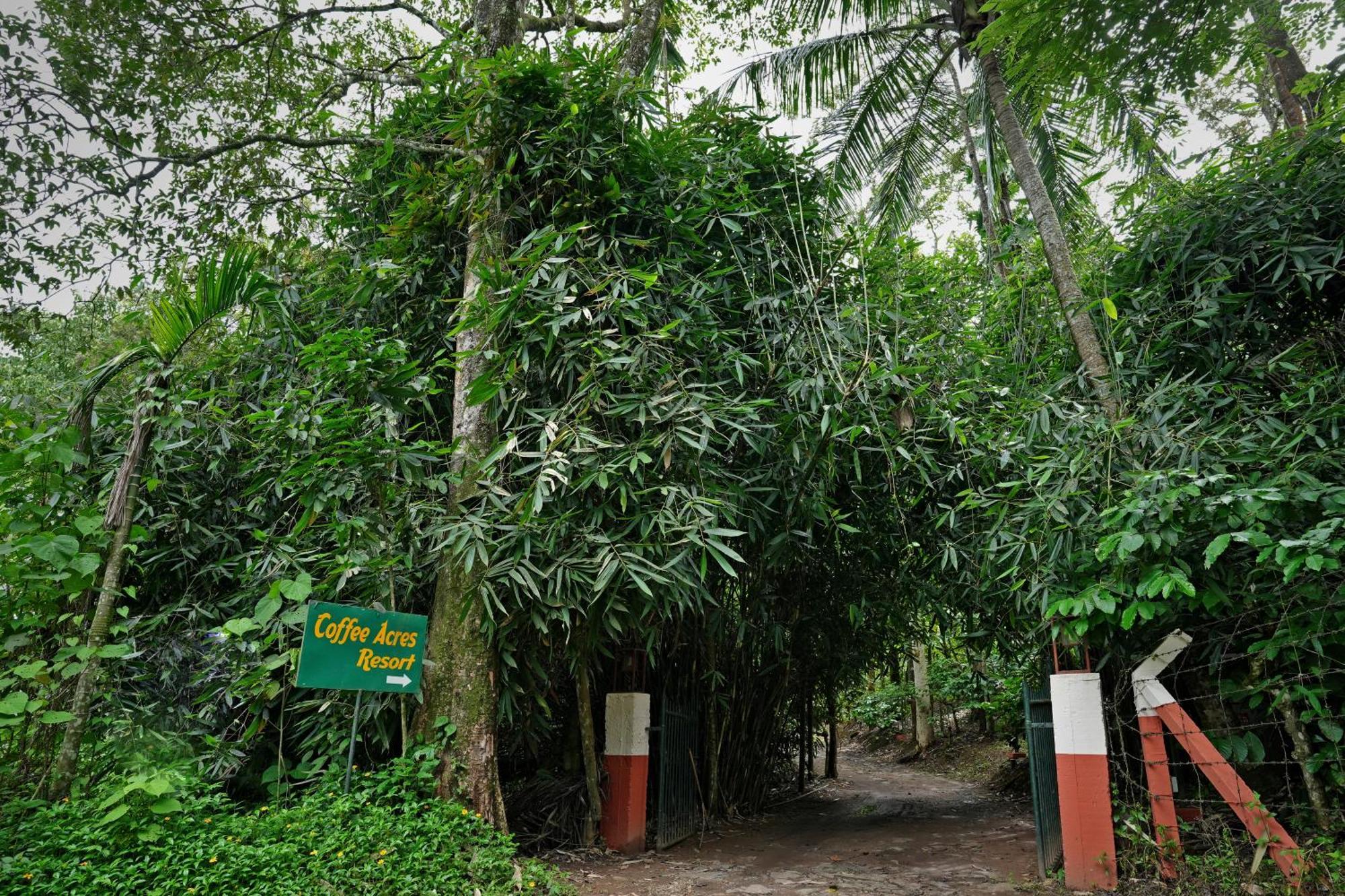 קאלפטה Coffee Acres Resort מראה חיצוני תמונה