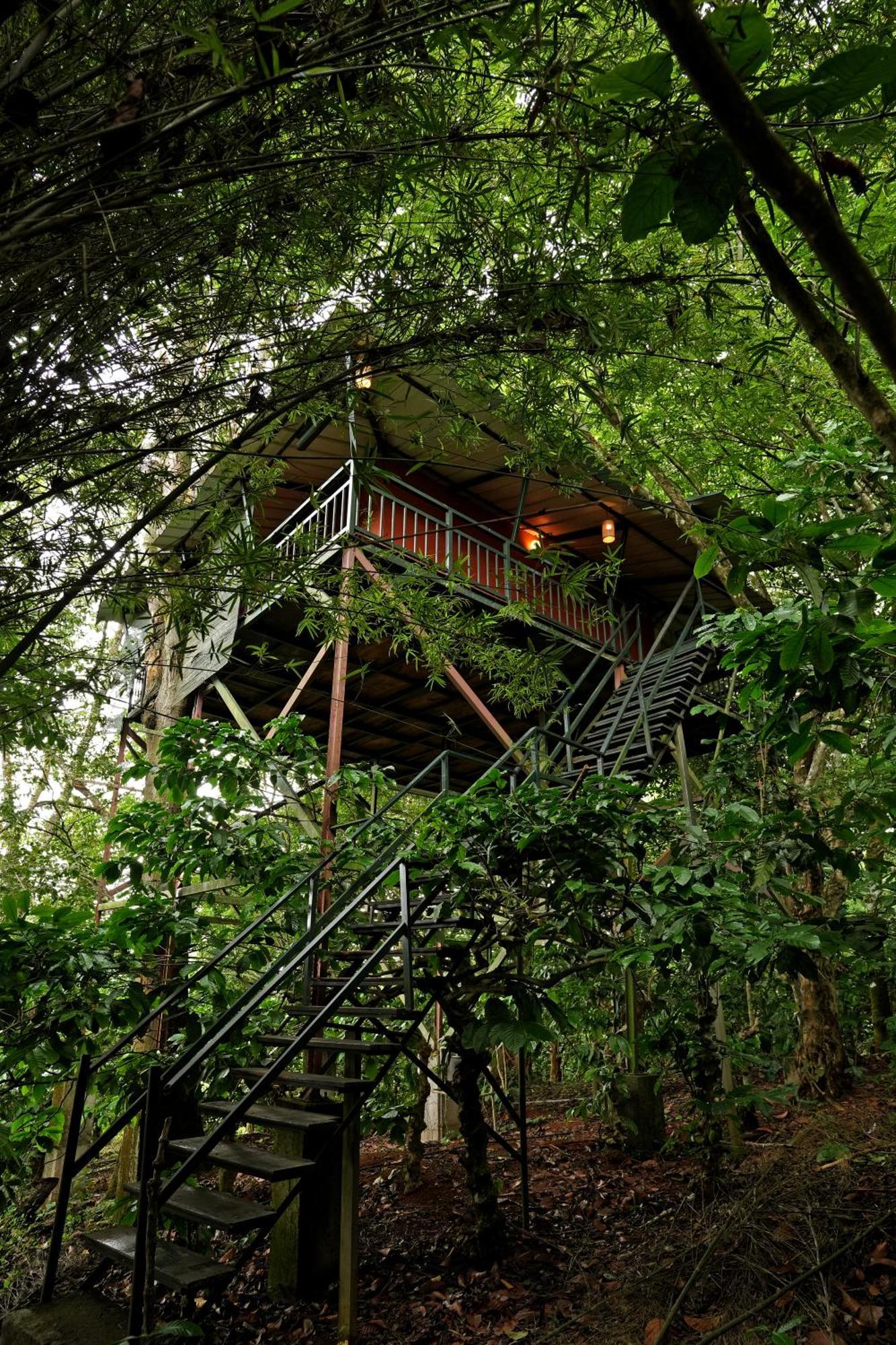 קאלפטה Coffee Acres Resort מראה חיצוני תמונה